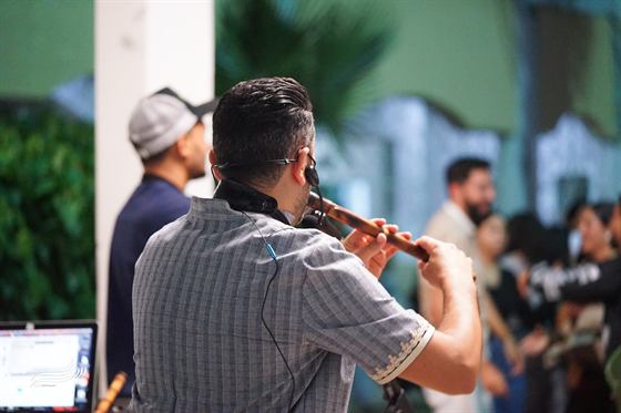 Targ'in — Backstage & festivals